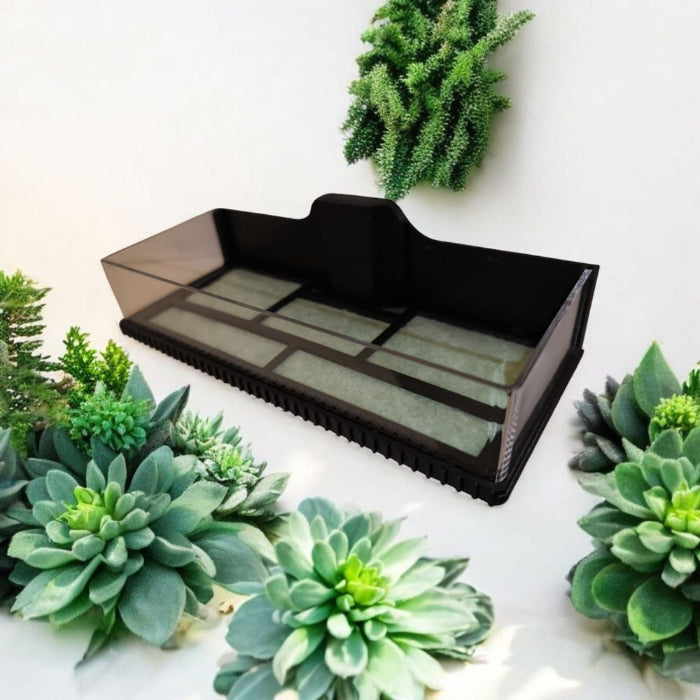 Aquariengarten_CapillaMoss_Aquagarden