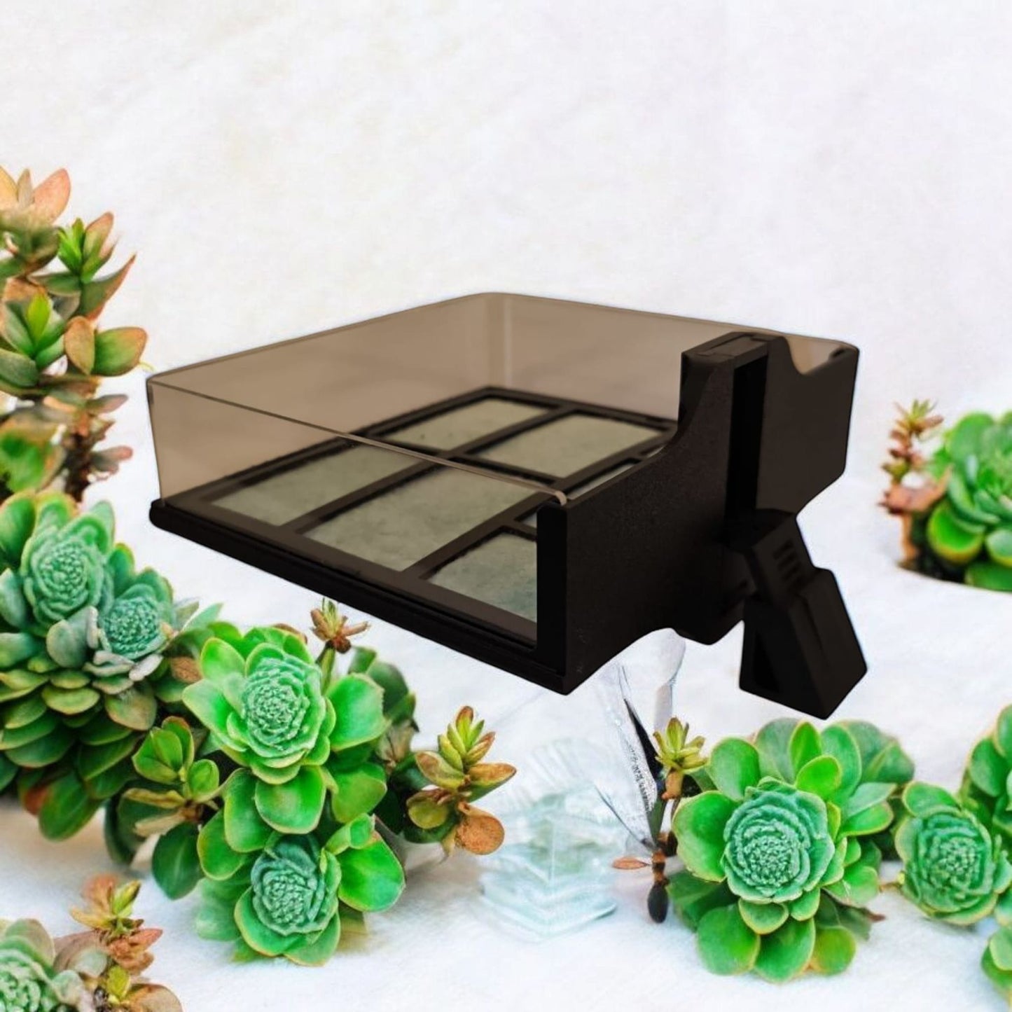 Aquariengarten_CapillaMoss_Aquagarden_3