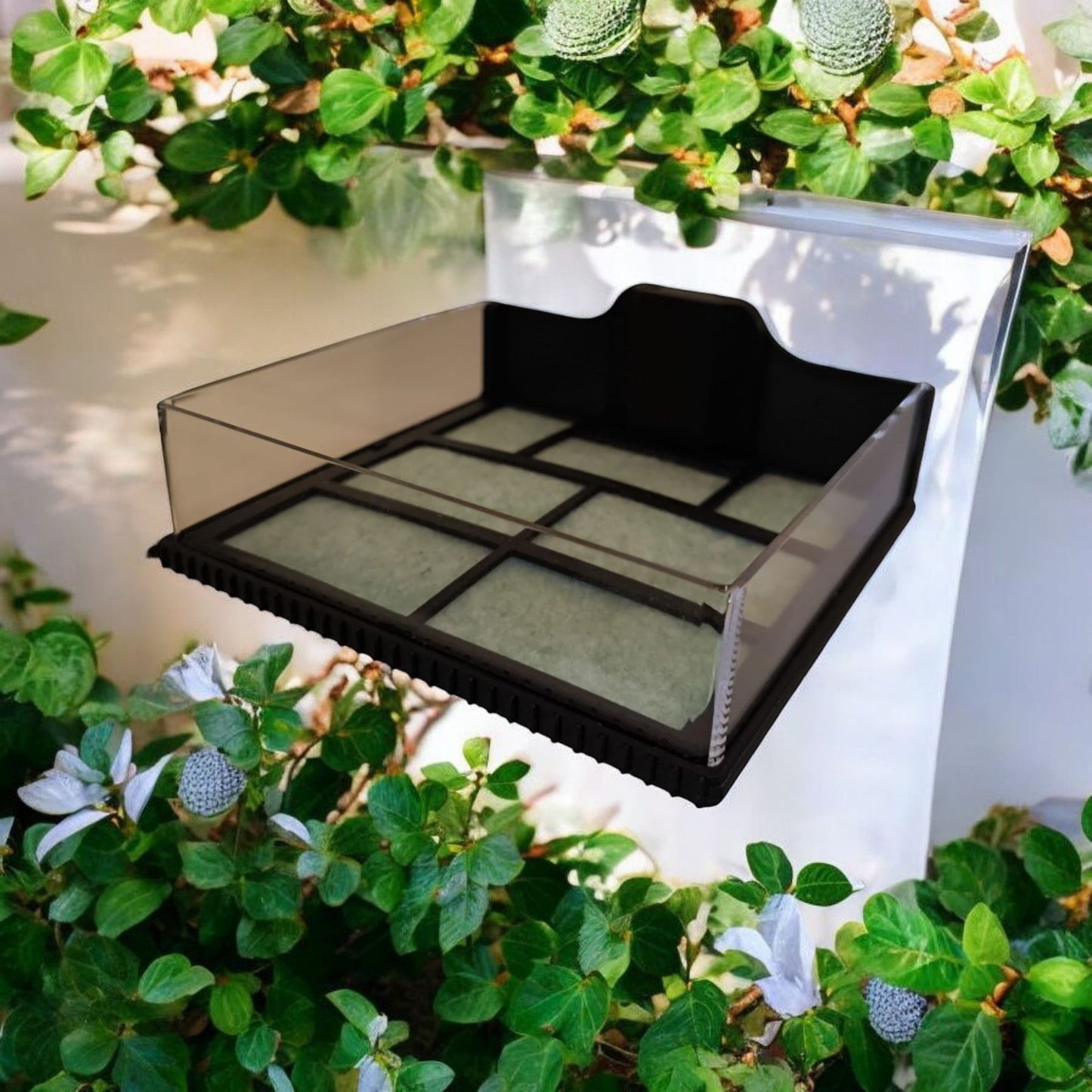 Aquariengarten_CapillaMoss_Aquagarden_5