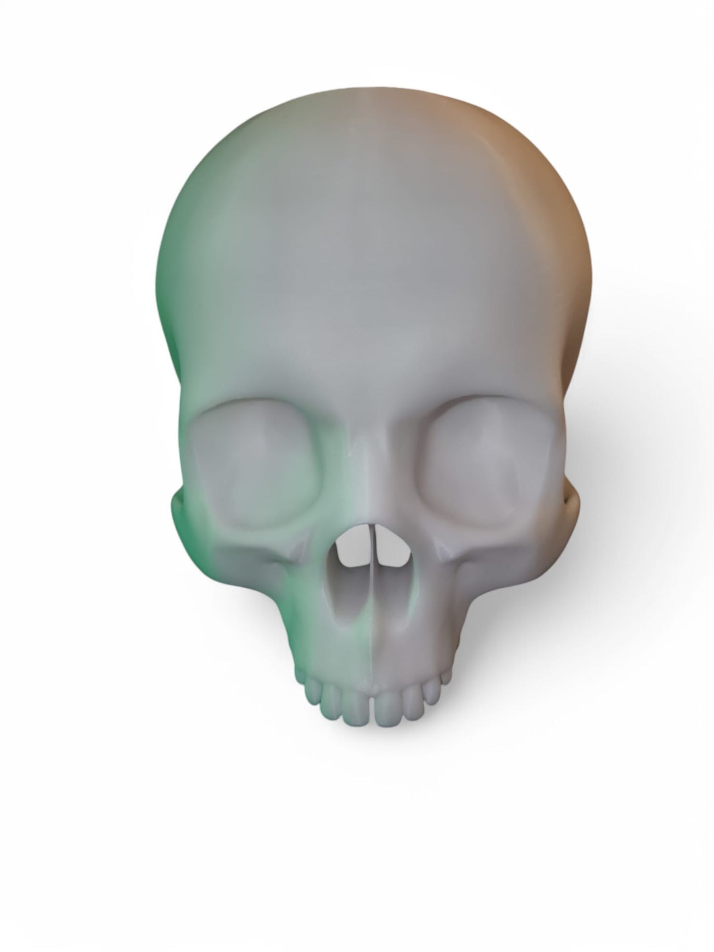 CapillaSkull Totenkopfvase von Aquariengarten