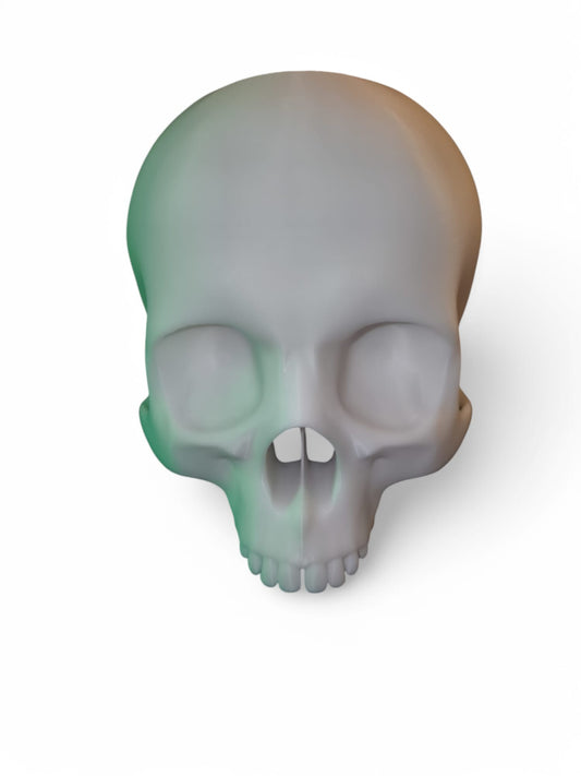 CapillaSkull Totenkopfvase von Aquariengarten