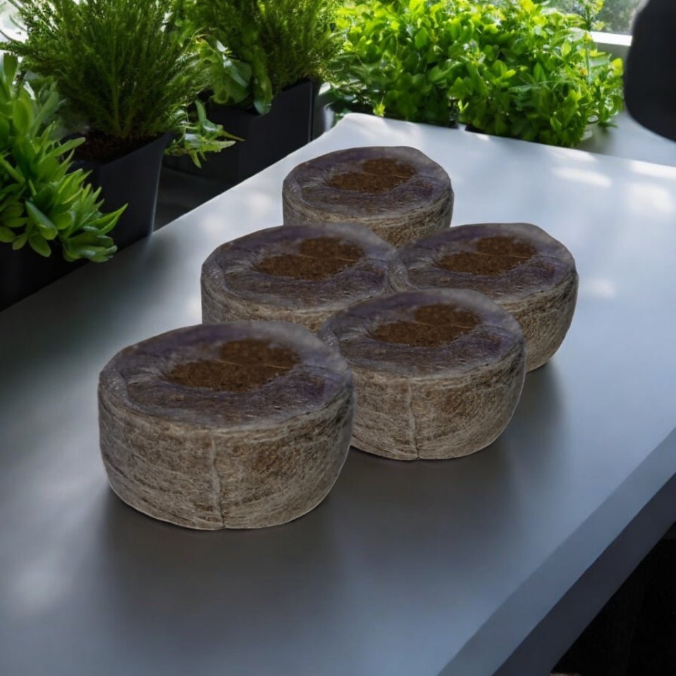 Kokosquelltabs (passend zu CapillaGrow Anzuchtsystemen)