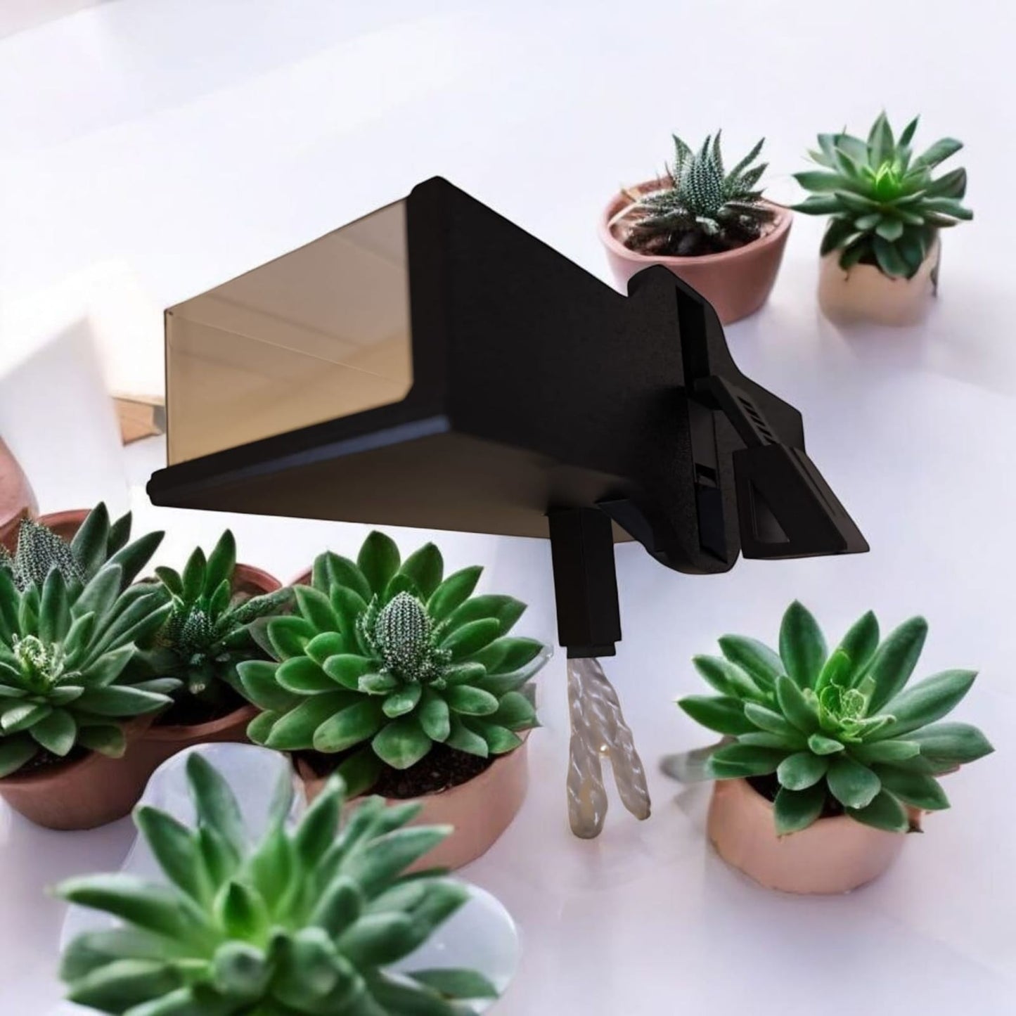 Aquariengarten_CapillaMoss_Aquagarden_1