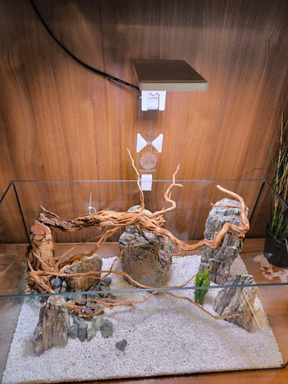 Auarium mit einer Lampenerhöhung von Aquariengarten