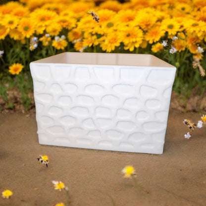 CapillaPonic "Bee House" höhenverstellbares Aquaponic Pflanzgefäß