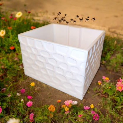 CapillaPonic "Bee House" höhenverstellbares Aquaponic Pflanzgefäß