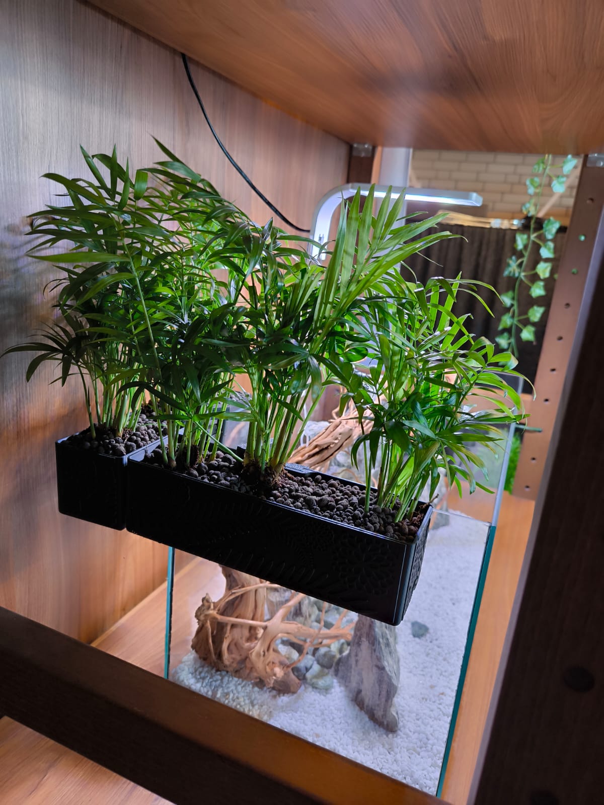 CapillaBalcony_bepflanzt_beispiel_3