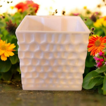 CapillaPonic "Bee House" höhenverstellbares Aquaponic Pflanzgefäß white