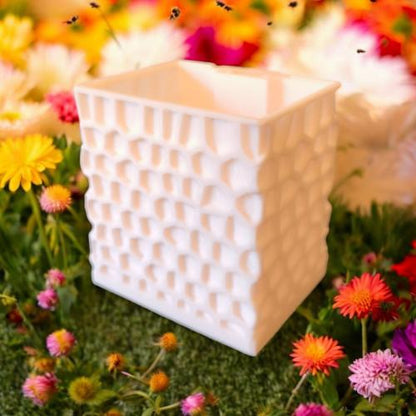 CapillaPonic "Bee House" höhenverstellbares Aquaponic Pflanzgefäß in white