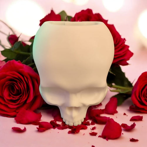 CapillaSkull Schädelvase von Aquariengarten