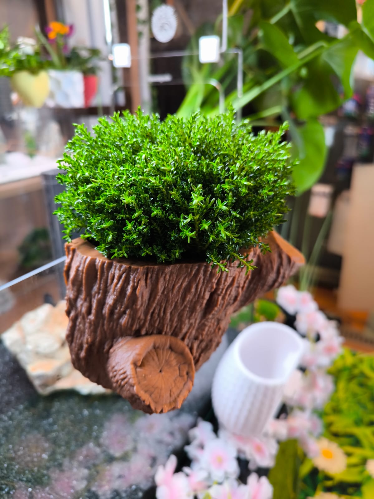 CapillaTrunk_Baumstumpf_Aquariengarten_Aquaponic_1