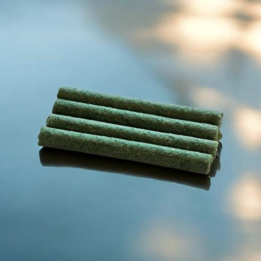 CapillaVital Düngestäbchen für die CapillaBridge
