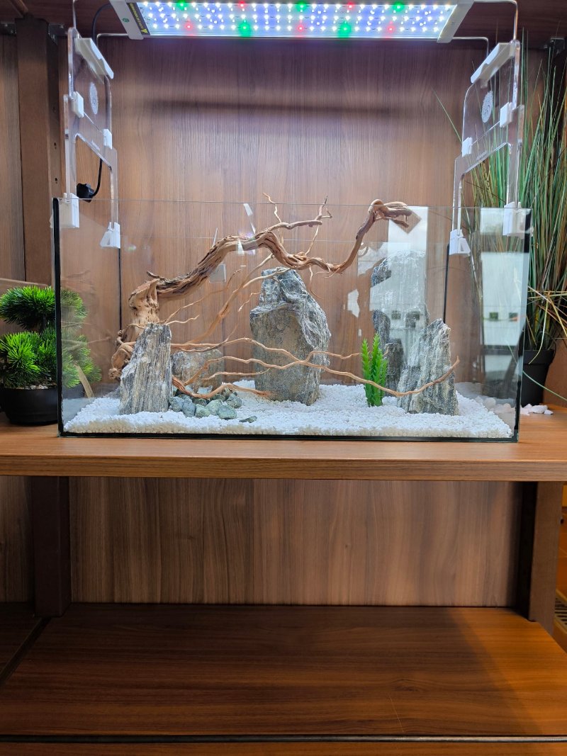 LED Lift von Aquariengarten
