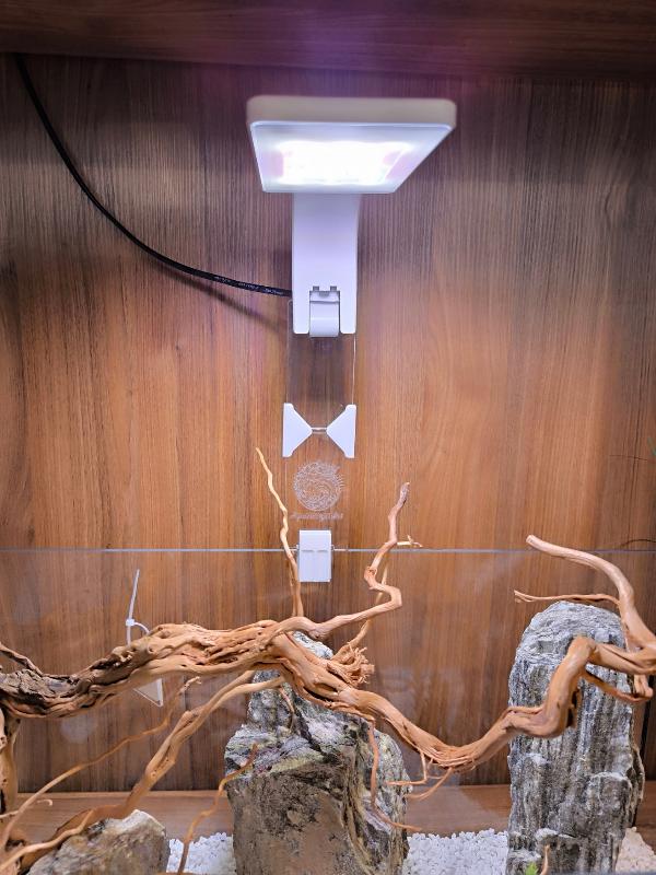 LED Lift von Aquariengarten