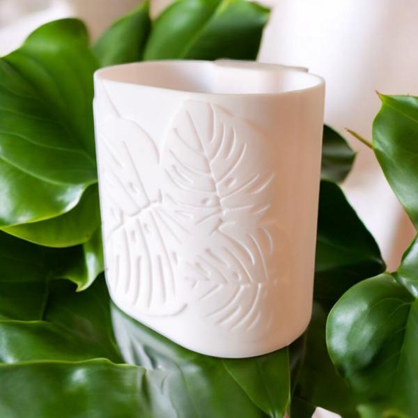 CapillaPonic kapillarvase Monstera Leafs 6