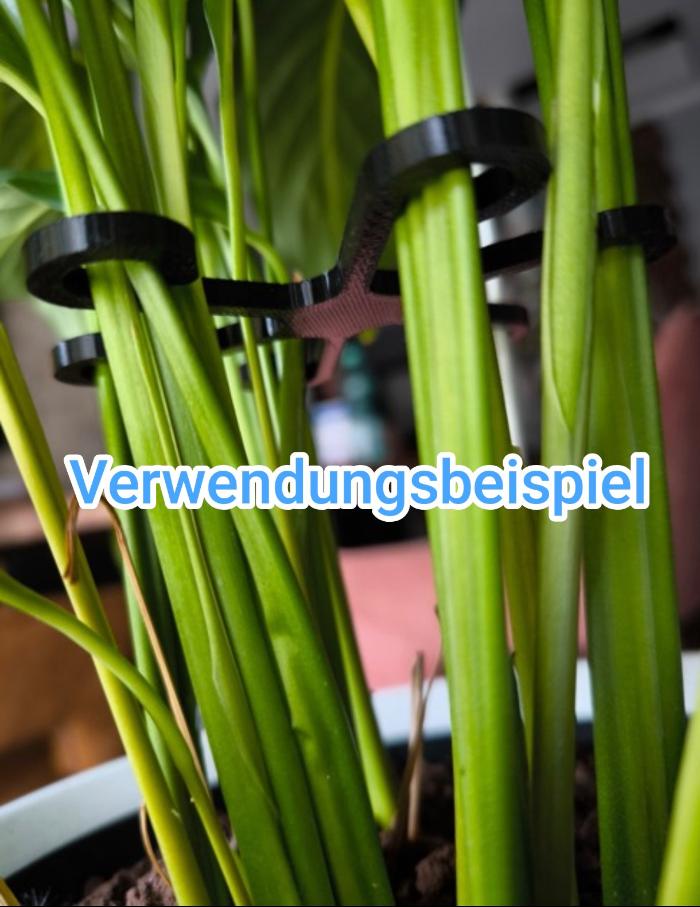 verwendungsbeispiel für die Pflanzenstielhalter